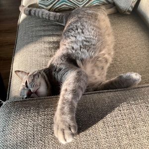 Meet your Posher, Andrea